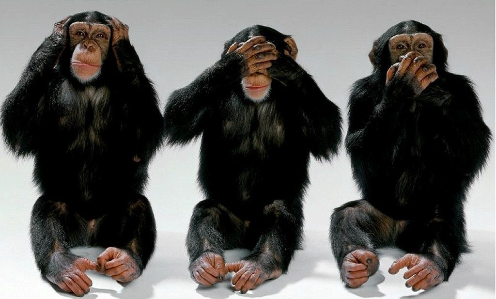 Evil Monkeys Evil Monkeys